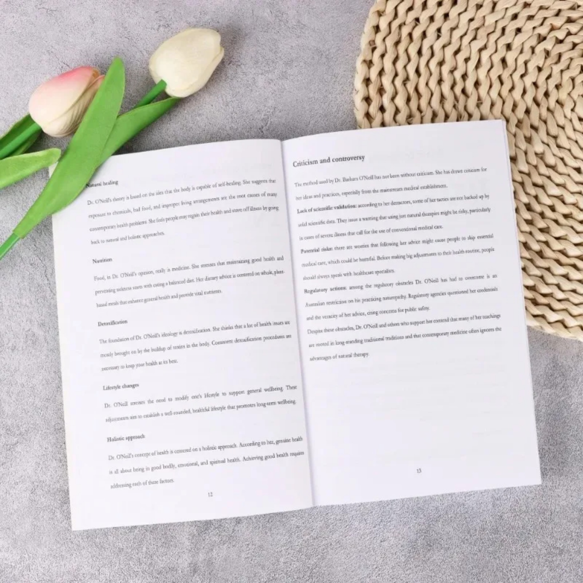 2026 Herbal Remedies Complete  - Herbal Wellness Recipes 评论和价格